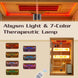 2-4 Person Steam Sauna, Traditional Sauna for Home, Home Spa Sauna, Indoor Sauna